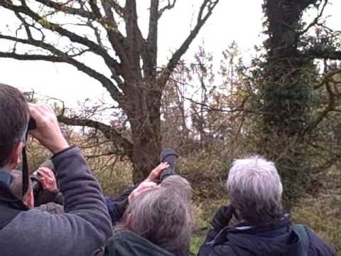 MBS Pulborough Brooks coach trip 180409