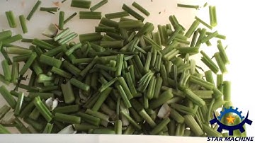 Parsley cutting machine celery cutting machine