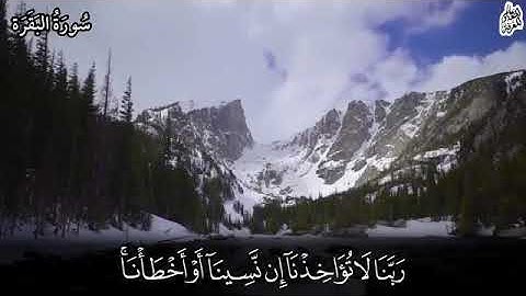 فارس عباد لا يكلف الله نفسا إلا وسعها //قرآن كريم  بصوت  القارئ  فارس عباد