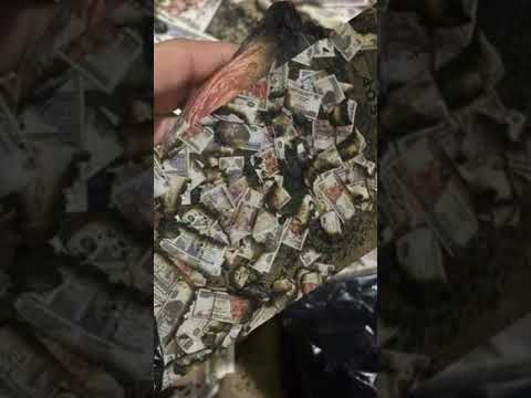 رزم فلوس ضاعت في غمضة عين مواطن يفقد أمواله بعدما وضعها في درج فرن منزله واشتعلته زوجته