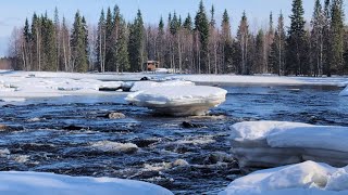 Arctic Circle Trail Rapids View(Finland Nature) &quot;Nature Sound&quot;