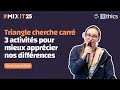 Triangle cherche carré 3 activités pour mieux apprécier nos différences (Anne-Laure Gros) #MiXiT2025