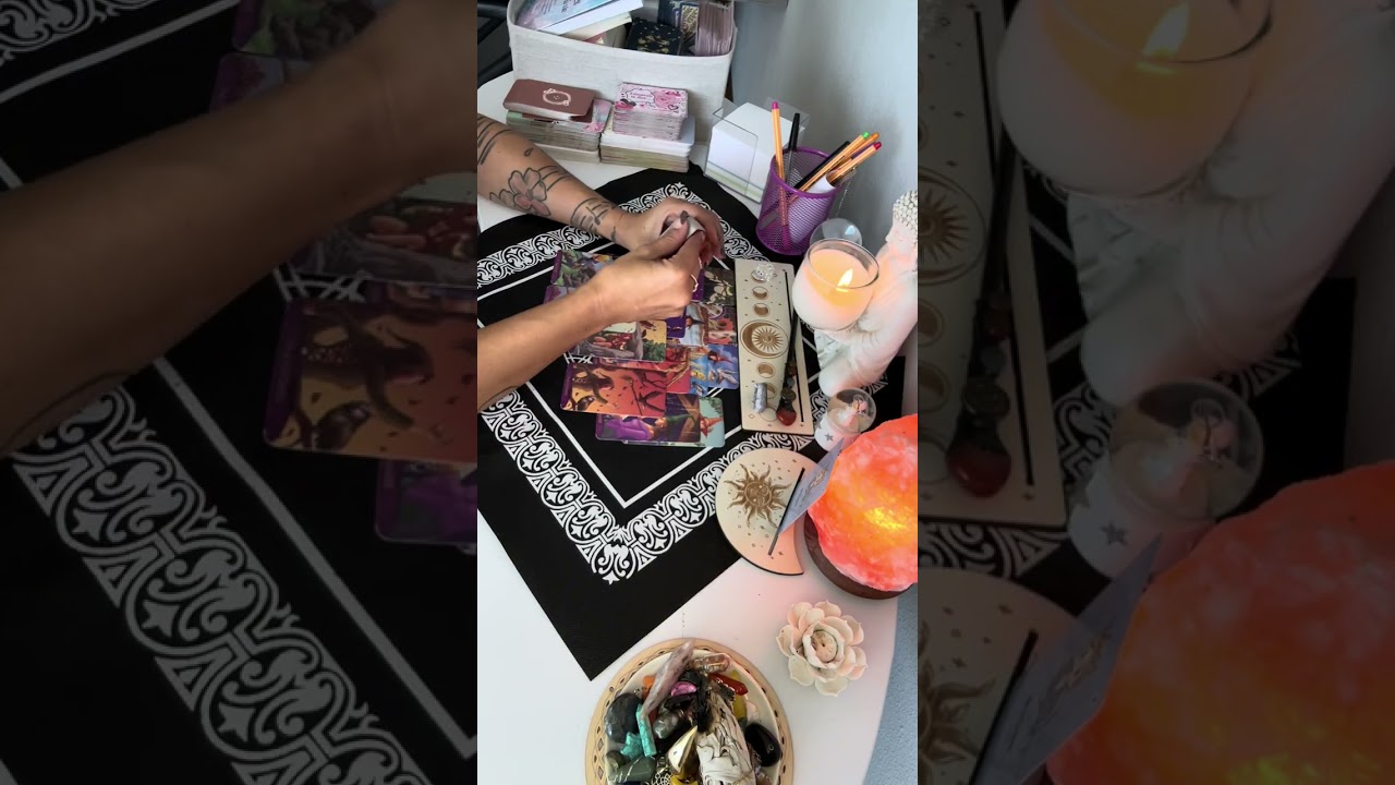 ✨quelqu’un n’est  pas content 😆🤭✨