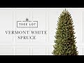 Vermont White Spruce | Tree Lot