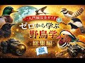 【野鳥観察が100倍楽しくなる！】動画で学ぶ『0から学ぶ野鳥学』 総集編