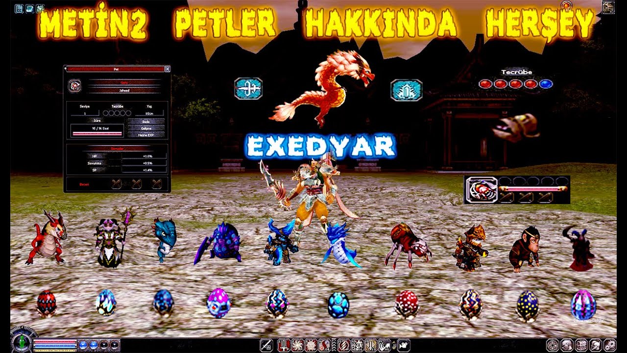 PETLER HAKKINDA HERŞEY ( EXEDYAR ) PETİ OHA ORANLARA BAK EFSANE