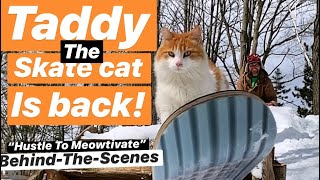 Skate Cat is Back! Taddy 2020 Behind-The-Scenes by Smagical 20,680 views 3 years ago 16 minutes