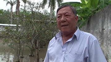 Mô hình nuôi rùa đất lớn hiệu quả