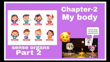 Class 2 EVs chapter 2 | My body | Sense organ| Part 2
