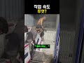 팀워크 좋네 thumbnail