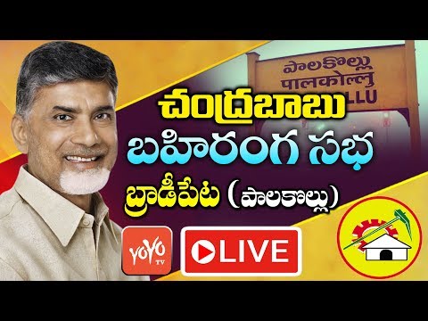Chandrababu Naidu LIVE | TDP Election Campaign in Palakollu Constituency | AP Elections | YOYO TV