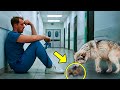 Perro llorando deja sus cachorros a los pies del doctor cuando descubrió la razón casi se desmaya