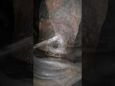 Success! Didn't work on the other side #defeat #yes #graft #cars #diy #asmr #mechanic #classiccars