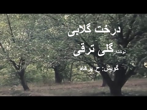   با صدای داستان درخت گلابی از کتاب جایی دیگر نوشتۀ گلی ترقی