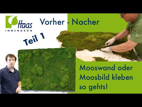 Video: Künstliches Moos: Wie Wählt Man Moos Für Wand, Dekor Und Aquarium Aus? Dekoratives Moos Im Innenraum