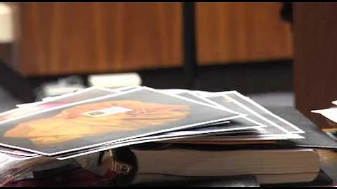 Fellow officer testifies in the Bluew trial