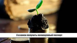 В какой стране мира легче всего получить гражданство: гражданство за инвестиции