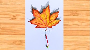 Maple leaf drawing | How to draw maple leaf easy - step by step | Colour pencil drawing