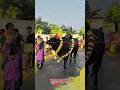 கருப்பனின் ❤️தீராத காதலி ❤️‍🔥//#jallikattu #kangeyam #bull #cow #love #trending #bullfarm #bullrace