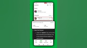 Boost Your WhatsApp Channel! Learn How to Check Your Insights! 🚀📲"