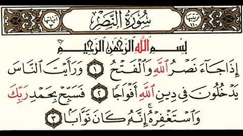 (110) سورة النصر | شيخ الزين محمد احمد