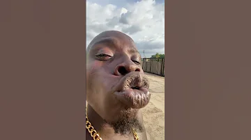 زلومة الفيل 