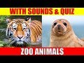 ZOO ANIMAL PICTURES With Sounds and Names for Babies & Toddlers - Animal Quiz
