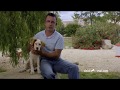 Apprendre au chiot  tre propreroyal canin