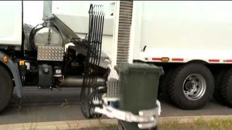 Alleygator short.mp4