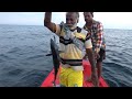 Using Drone Spoon to Catch a Kingfish & Bonito Fish