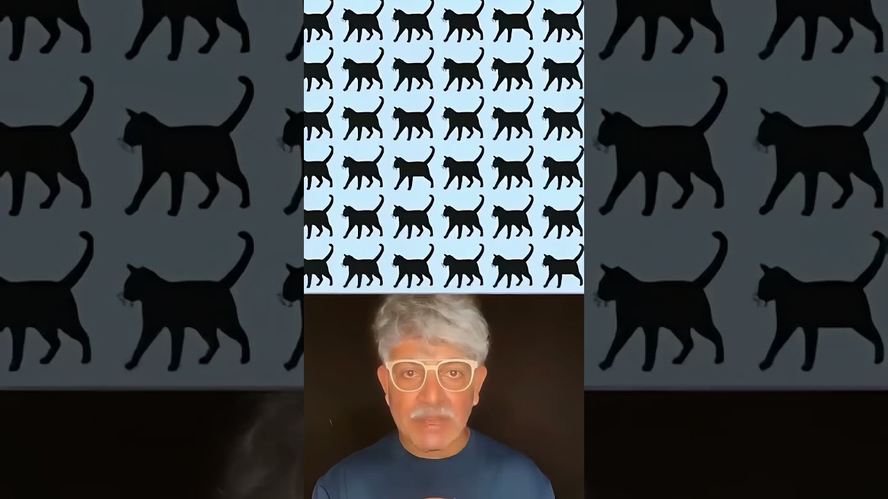 Which Cat Is On Tree Shorts