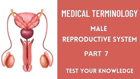 Medical coding for beginners| Male reproductive system question and answers part 7| #medicalcoding