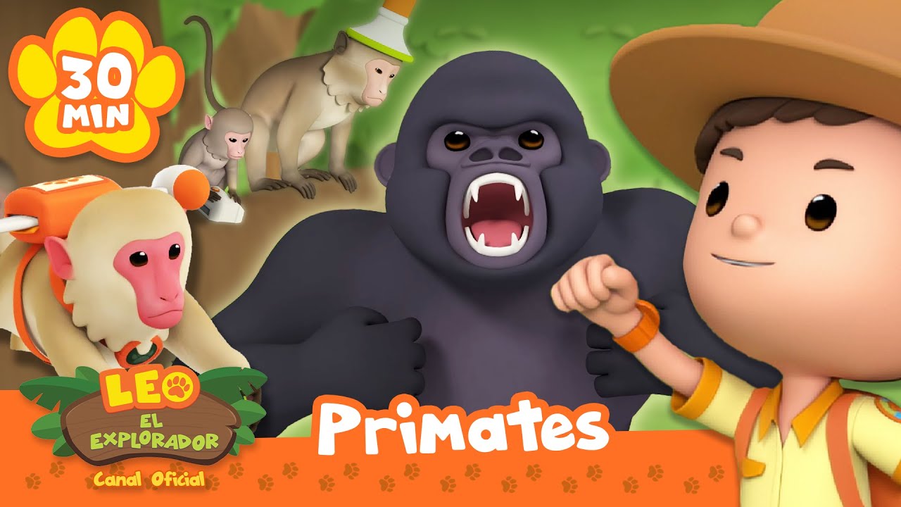 ¡EXPLORA LA JUNGLA CON MONOS Y GORILAS! | Leo, El Explorador | Animación - Familia