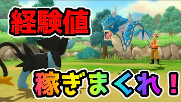 ポケモン Sp レベル上げ