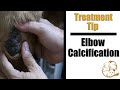 Dog Elbow Callus Treatment Tip