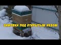 пчеловодство, зимовка под открытым небом