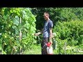 Обработка винограда фосфоро-калийным удобрением по листве