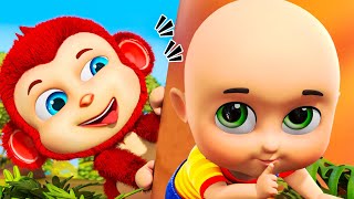 peek a boo song more nursery rhymes |nursery rhymes for toddlers fun songs | will the bus go round