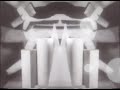 Universo In Rotazione - Marco Baroncini