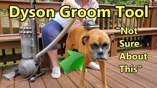 Dyson Groom Tool Versus Our Rosie