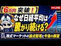 【6万円突破】なぜ日経平均は騰がり続ける?株式マーケットの論点整理と今後の展望/ノックアウトオプションの基本と実践