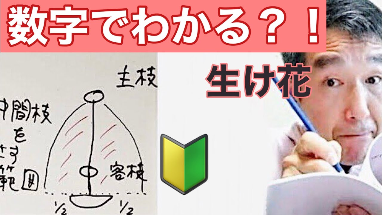 🔰【初心者必見 よくわかる生け花】いけばな小原流　花意匠　たてるかたち　基本の花型のポイントを数字でみてみよう！始めよういけばな！