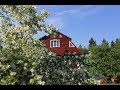 Dacha: Our little paradise / Дача