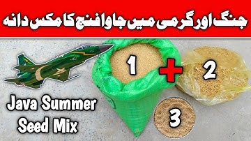 Java Sparrow Best Summer Season Seed Mix | Java Finch Seed Mix | Mini Zoo Birds