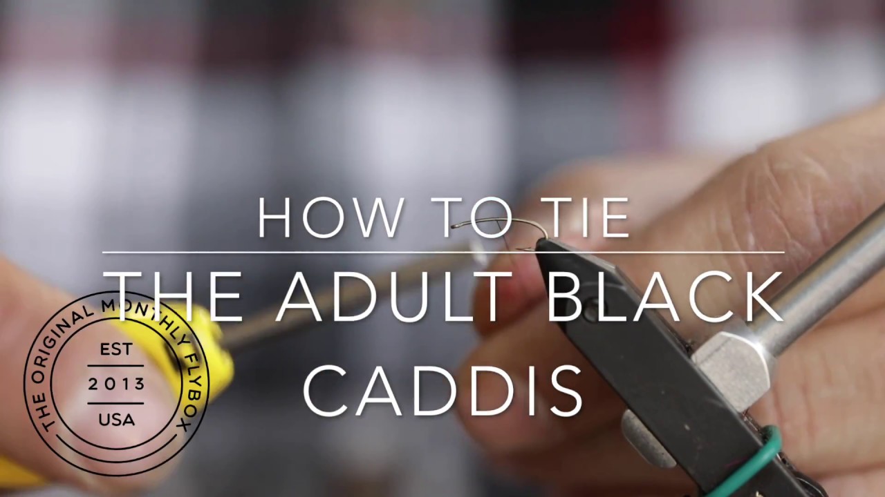 How to Tie The Adult Black Caddis