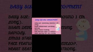 Week 7 Baby Size &amp; Development | 2nd Month Pregnancy | First Trimester