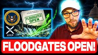 LISTEN UP NOW! THE SEC JUST OPENED THE FLOODGATES! (MASSIVE XRP NEWS!)