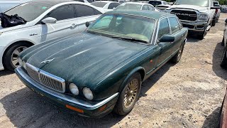 Truck Shopping at IAA Revealed a Hidden Jaguar! Is it Worth Buying?