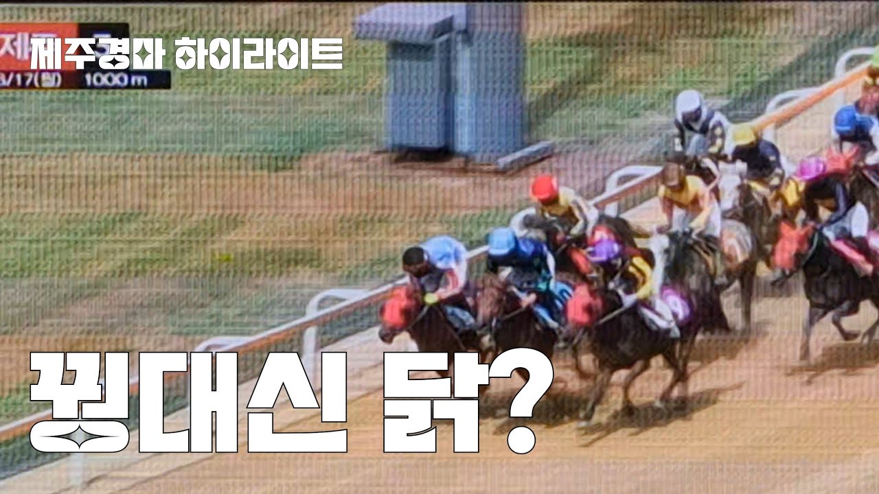 내가 놓고산말은 가운데 낑겨서 못나오고 대신 다른말들이라도 들어오렴!