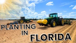 Wide Open Planting Peanuts And Cotton